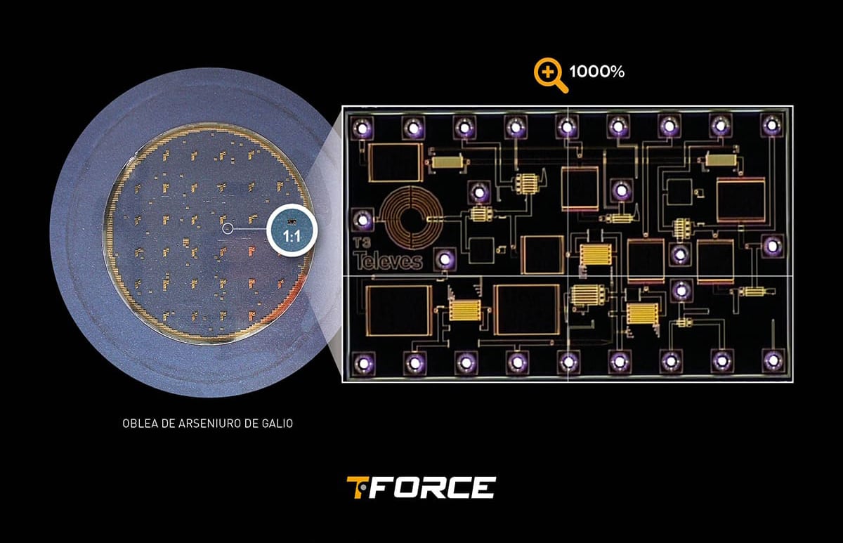 Cuerpo texto Tforce